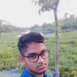 Saifullah Joarder-Freelancer in ,Bangladesh