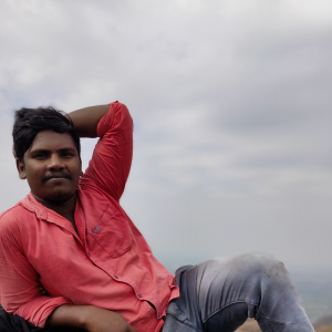 Srinath Puli-Freelancer in ,India