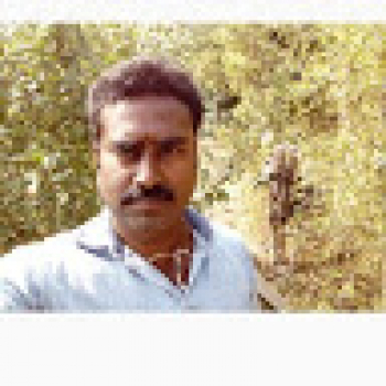 Murali Krishna Danda-Freelancer in Tenali,India