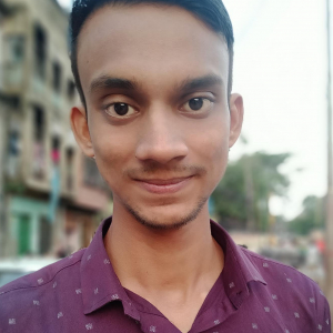 Md Shahid-Freelancer in ,India