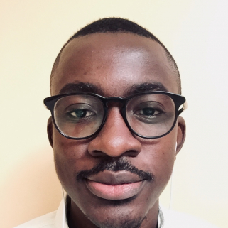 David Lionel Akotchenoude-Freelancer in Cotonou,Benin