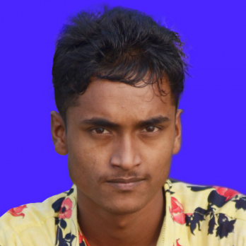 Md Joy-Freelancer in Mymensingh,Bangladesh