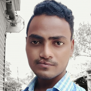 Pralay Sarkar-Freelancer in ,India