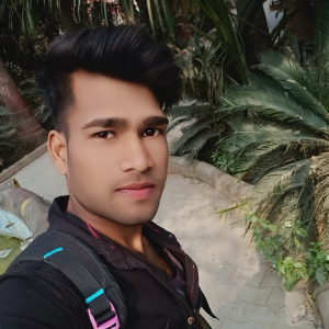 Prakash Sharma-Freelancer in Vill-baragada, post-baluaa, p.s-krishnagadh , dist,India