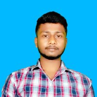 Biplab Das-Freelancer in Berhampore,India