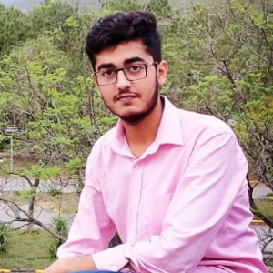 Abdullah Bhatti-Freelancer in Bahawalpur,Pakistan