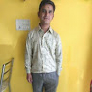 Vishal Pareek-Freelancer in ,India