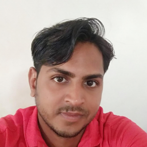 Harimohan Kumar-Freelancer in New Delhi,India