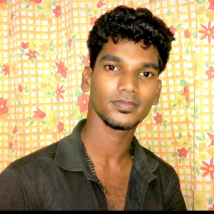 Jibin Bj-Freelancer in Neyyattinkara,India