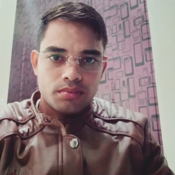 Dharmveer Singh-Freelancer in Kaman,India