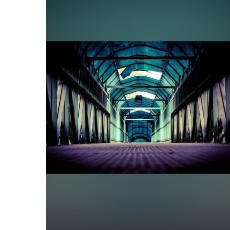 Sidra Basharat-Freelancer in Islamabad,Pakistan