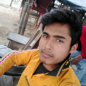 Raushan Kumar Sriwastav-Freelancer in Raxaul,India