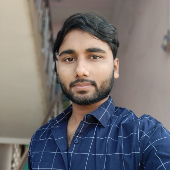Rajibul Molla-Freelancer in Magrahat,India