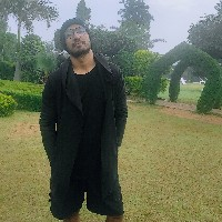 Naveen Chaudhary-Freelancer in ,India