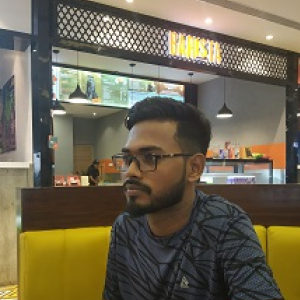 Dheerendra Kumar-Freelancer in Delhi,India