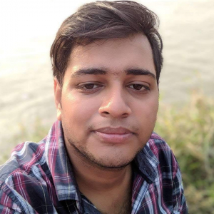 Punit Sriwastav-Freelancer in ,India