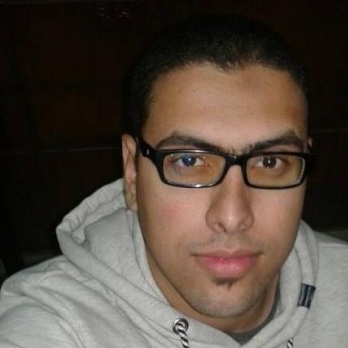 Omar Elshamy-Freelancer in Cairo,Egypt