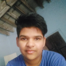 Naveenak Kumar-Freelancer in Gandhal,India