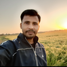 Pradeep Singh Rajput-Freelancer in SAGAR,India