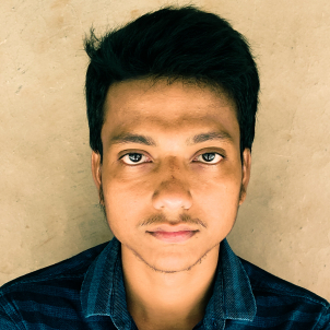 Pratik Bera-Freelancer in Kolkata, west Bengal,India