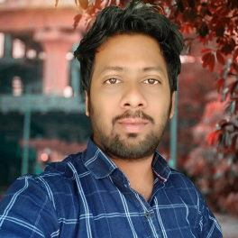 Lokanatha Nayak-Freelancer in Odisha,India