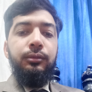 Muhammad Waqas Ramzan-Freelancer in ,Pakistan