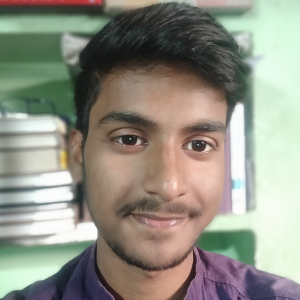 Suman Das-Freelancer in ,India