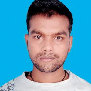 Vashim Ahmad-Freelancer in Noida,India