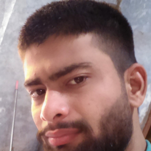 Abhishek Pandey-Freelancer in Delhi,India