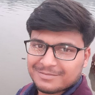 Kundan Kumar-Freelancer in Noida,India