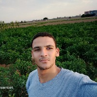 Mahmoud Saad-Freelancer in Al Iman 2,Egypt