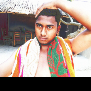Shahidul Islam-Freelancer in Badarganj,Bangladesh