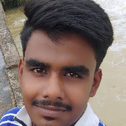 Rakesh Mahapatra-Freelancer in chandikhol,India