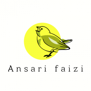Ansari Faizan Khalil-Freelancer in ,India