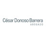 César Donoso Barrera-Freelancer in Curicó,Chile