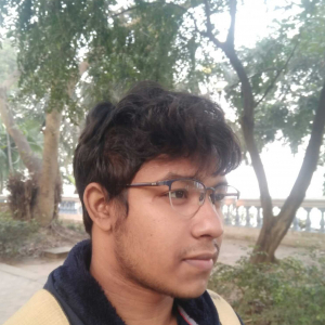 Aishik Roy-Freelancer in Kolkata,India