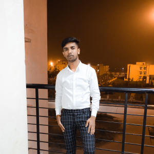 Rudresh Kumar-Freelancer in ,India