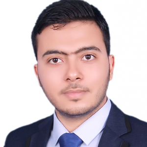 Adel Ahmed Al-khaligy-Freelancer in Mansoura,Egypt