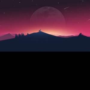 Nikhil M-Freelancer in New Delhi,India