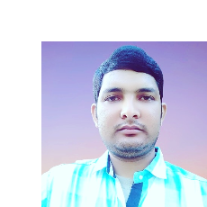 Wasim Mondal-Freelancer in Murshidabad,India