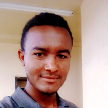 Daniel Getaneh Shibabaw-Freelancer in Bahir Dar, Ethiopia,Ethiopia