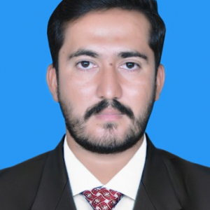 Sajjad Aslam-Freelancer in Depalpur,Pakistan