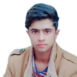 Hassan Ali-Freelancer in Gujranwala,Pakistan