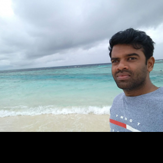 Ramesh Paramasivam-Freelancer in Maale,Maldives