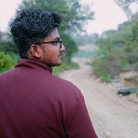 Strenger Vishu-Freelancer in Sultanpur,India