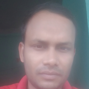 Sadek Ali-Freelancer in RAIGANJ,India