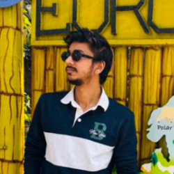 Akash Varshney-Freelancer in Noida,India