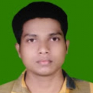 Prabhat Kumar Biswal-Freelancer in ,India