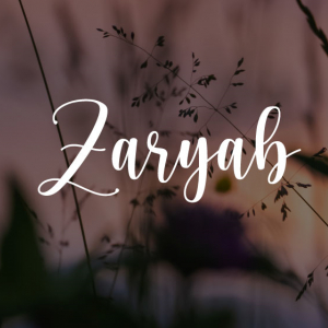 Zaryab Inayat-Freelancer in Sialkot,Pakistan