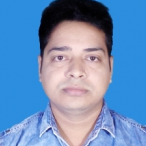 Kabir Shaikh-Freelancer in ,India